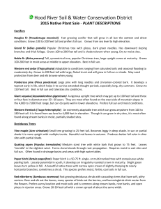 Plant Species Information - Hood River Soil and Water Conservation