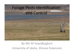 Forage Pests Identification and Control