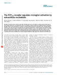 The P2Y12 receptor regulates microglial activation by extracellular