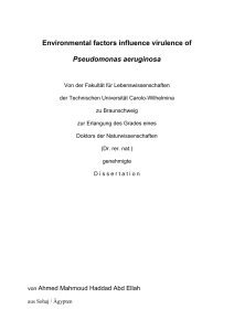 Environmental factors influence virulence of Pseudomonas