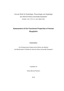 Assessment of the Functional Properties of Human Myoglobin