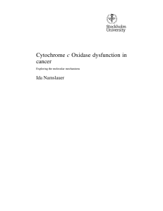 Cytochrome c Oxidase dysfunction in cancer