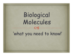 glucose - Y11-Biology-SG