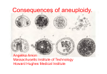 Consequences of aneuploidy.