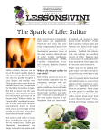 The Spark of Life: Sulfur