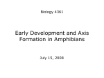 10. Early Amphibian Development