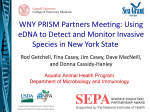 Using eDNA to Detect and Monitor Invasive Species in New York State
