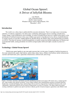 Global Ocean Sprawl: A Driver of Jellyfish Blooms