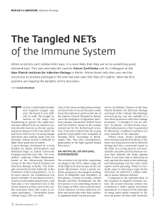 The Tangled NETs of the Immune System - Max-Planck