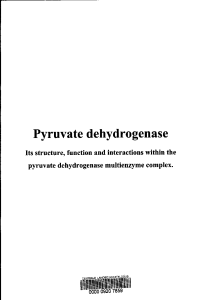 Pyruvate dehydrogenase - Wageningen UR E