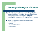 Sociological Analysis of Culture