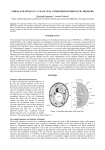 STRESS AND STRAIN IN A YEAST CELL UNDER HIGH