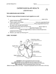 lesson-3-hand-in-cardiovascular