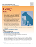 Cough - Milliken Animal Clinic