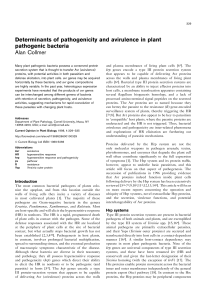 Determinants of pathogenicity and avirulence in plant pathogenic