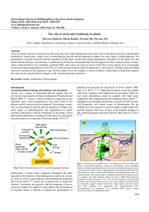 384 The role of auxin and cytokinesis in plants