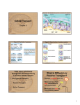 What is Diffusion or Passive Transport?