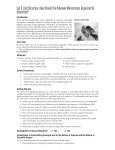 Lab 2. Cell Structure: How Should the Unknown Microscopic