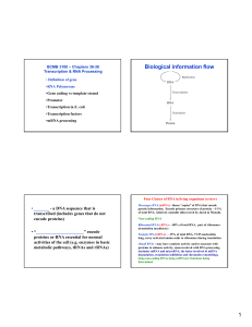 1 Biological information flow