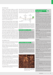 Nutrient depletion in Africa The role of soil elements in plant growth