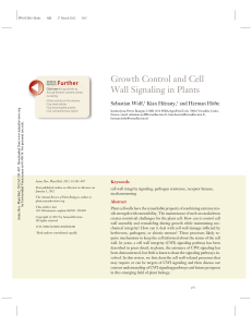 Growth Control and Cell Wall Signaling in Plants