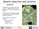 Genetic selection and variation