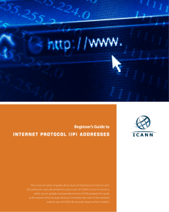 Beginner`s Guide to INTERNET PROTOCOL (IP) ADDRESSES