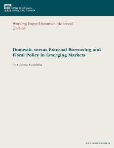Domestic versus External Borrowing and Fiscal Policy in Emerging