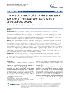 The role of hermaphrodites in the experimental evolution of