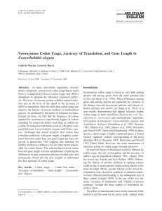 Synonymous Codon Usage, Accuracy of Translation, and Gene