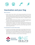 Vaccination and Your Dog - Canadian Veterinary Medical Association