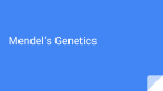 Mendel`s Genetics