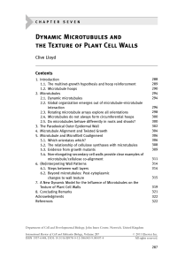 7 - Dynamic Microtubules and the Texture of Plant Cell Walls