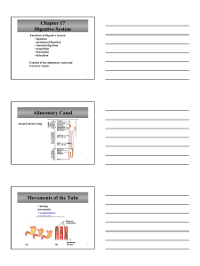 Digestive System note outline