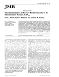Heterodimerization of the Two Motor Subunits of the Heterotrimeric