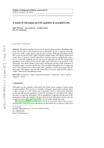 A model of chloroplast growth regulation in mesophyll cells