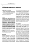 Programmed senescence of plant organs
