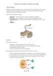 Proteins and Mutations – Revision Pack (B3)