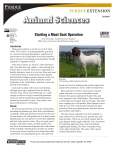 Animal Sciences - Purdue Extension