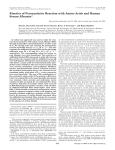 Kinetics of Peroxynitrite Reaction with Amino Acids and Human