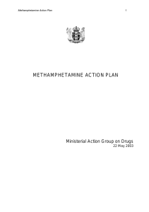 Methamphetamine Action Plan
