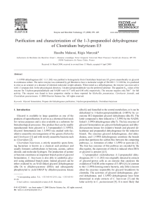 Purification and characterization of the 1-3