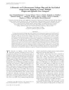 A Domestic cat X Chromosome Linkage Map and the Sex