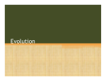 Evolution - BEHS Science