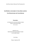 Identification and analysis of new phloem proteins from