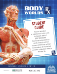 student guide - McWane Science Center