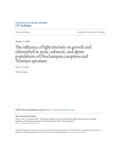 The influence of light intensity on growth and