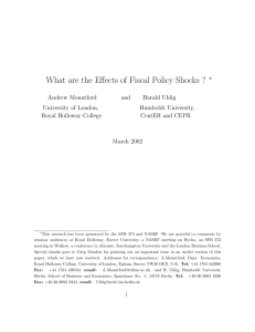 What are the Effects of Fiscal Policy Shocks