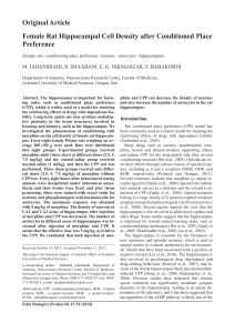 Original Article Female Rat Hippocampal Cell