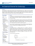 An External Channel for Endoscopy